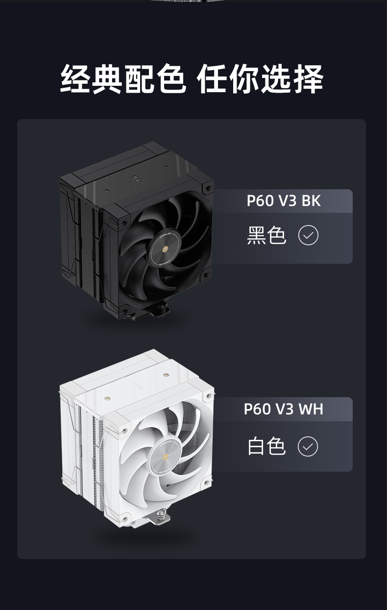 P60 V3 BK