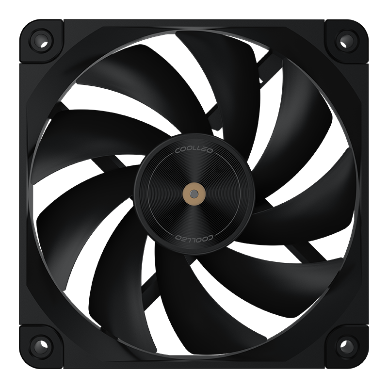N25-B12L
