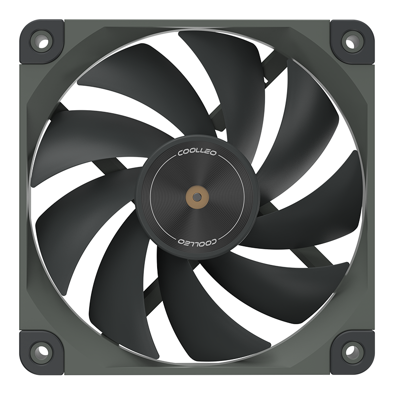 N25-G12L