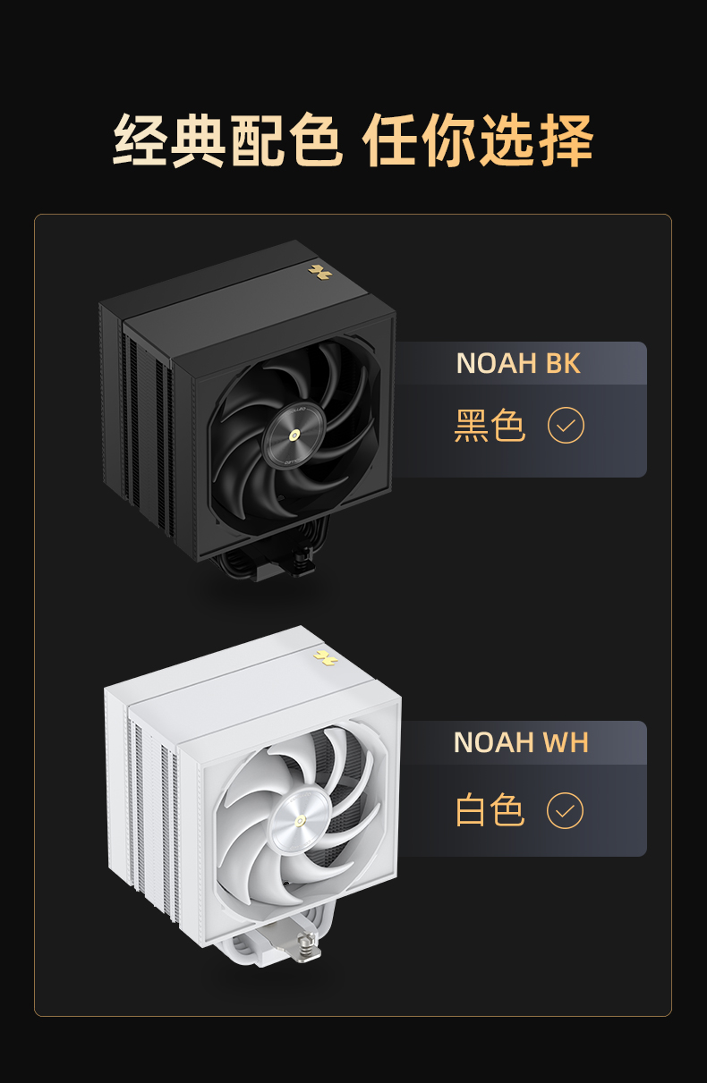 NOAH WH