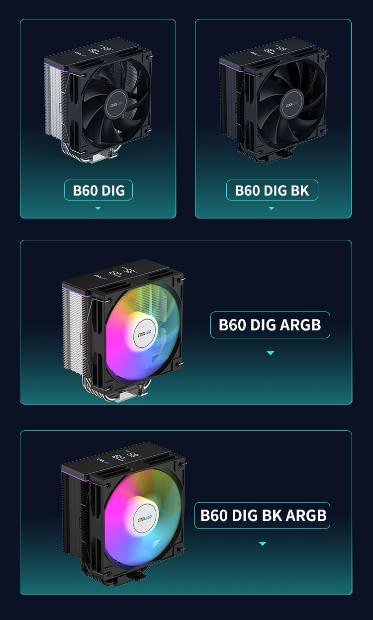 B60 DIG