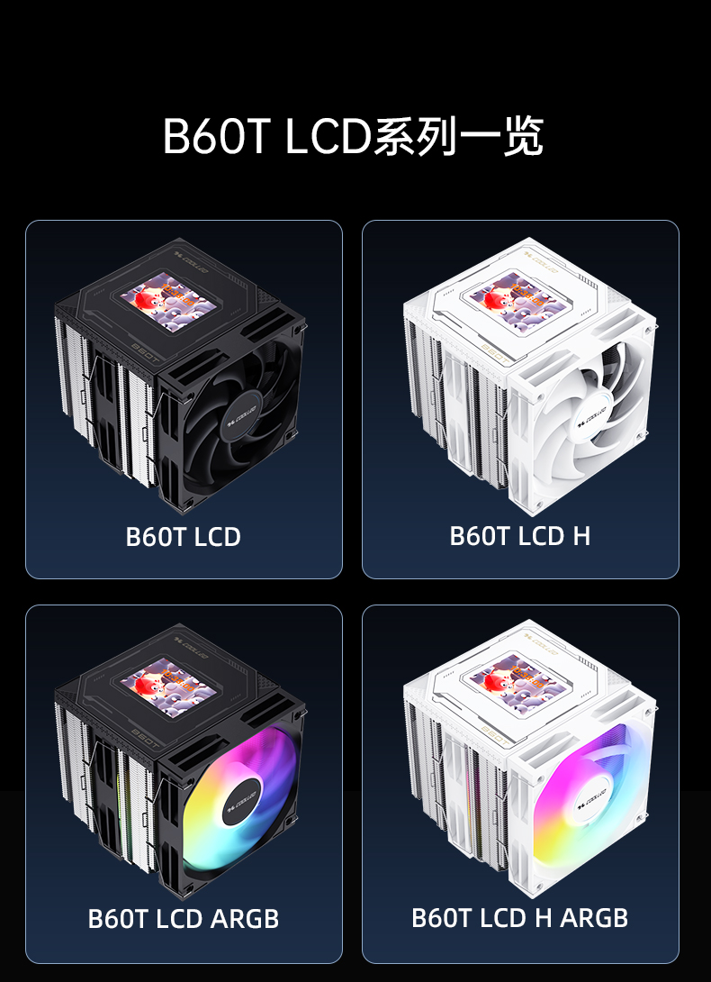 B60T LCD BK