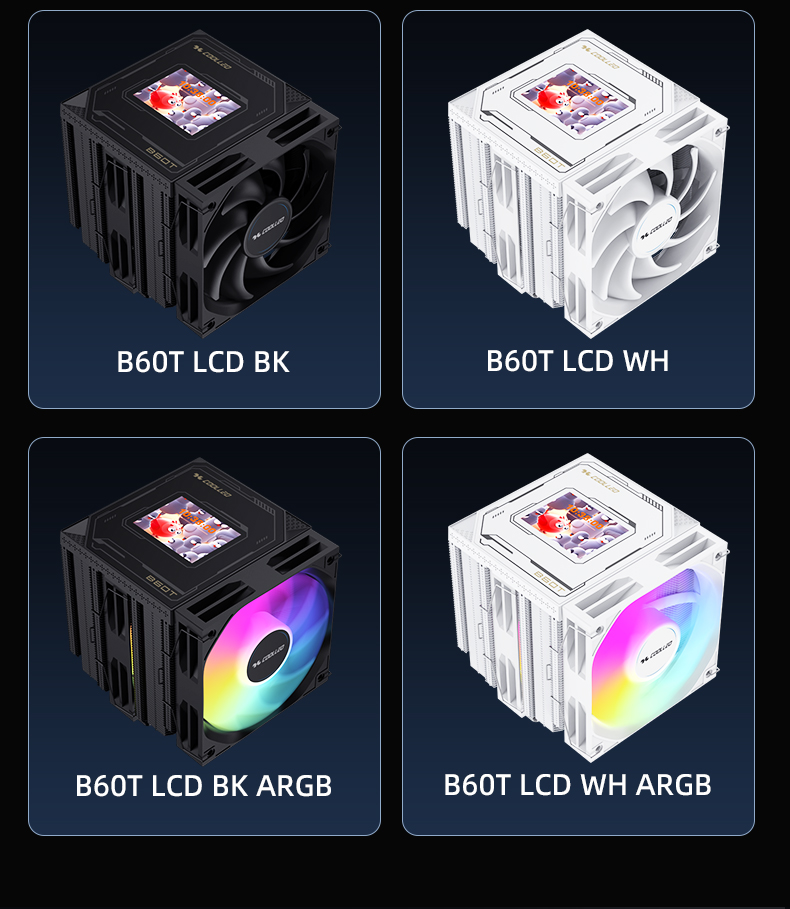 B60T LCD BK