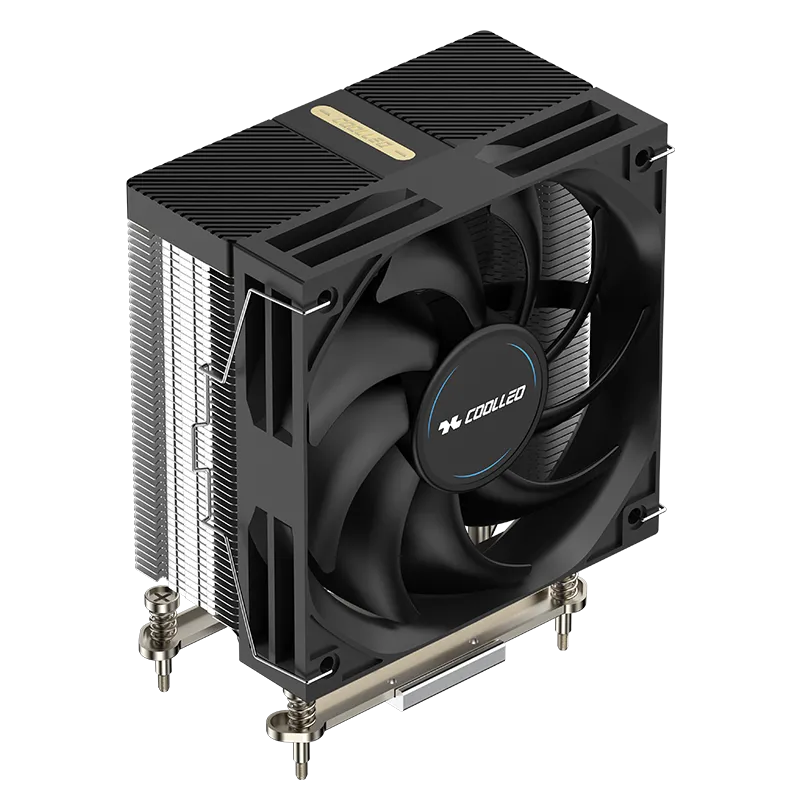 A61 AMD